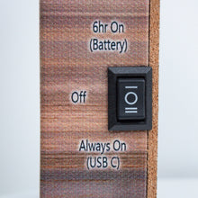 Wild Horses 8x6 Lighted Tabletop Canvas